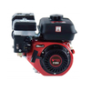 DL170F/P-2-BT